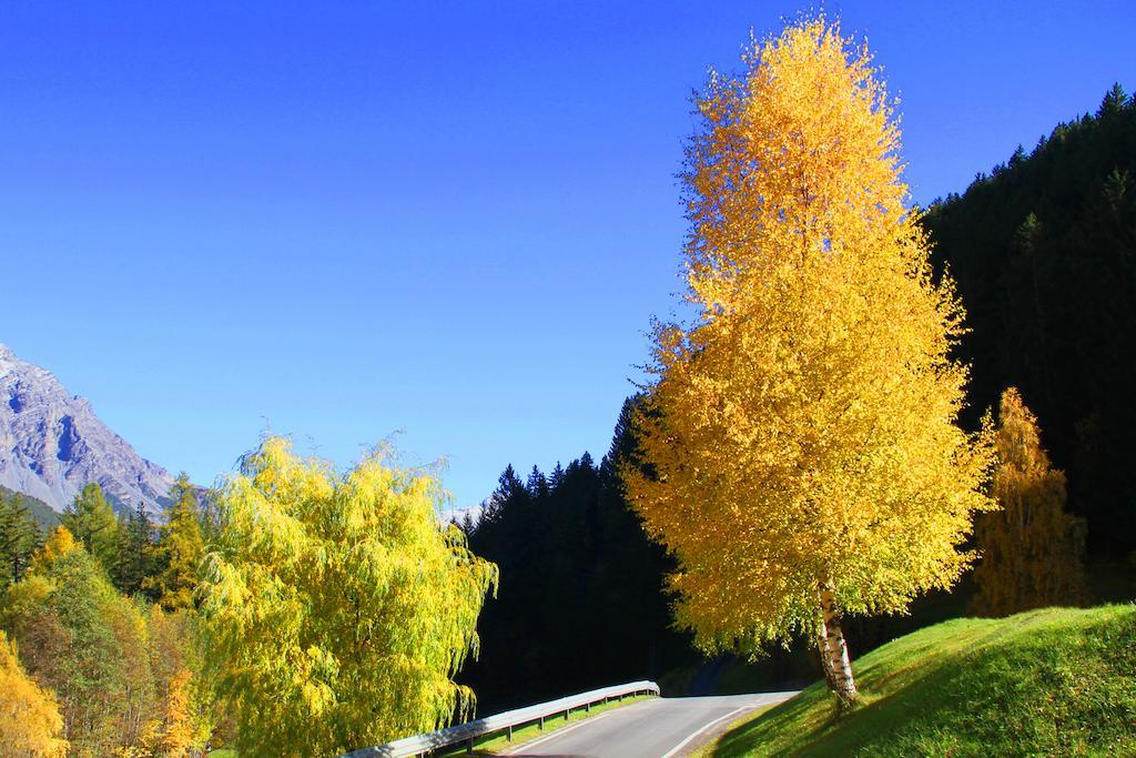 Pradelle Residence Raethia Tra Bormio E Livigno מראה חיצוני תמונה